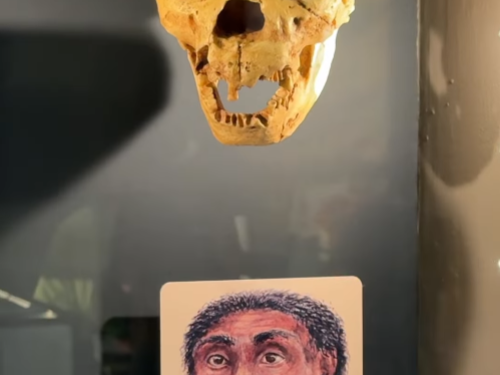 Foto de uma das exibições do museu 