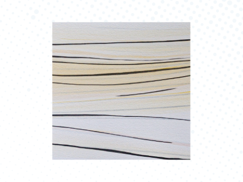 Exposição: “BIO-grafia”