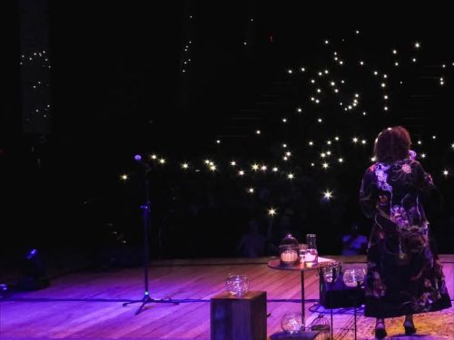 Foto dos artistas Vanessa e Tim 