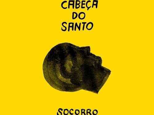 Foto da capa do livro "A cabeça do Santo" 