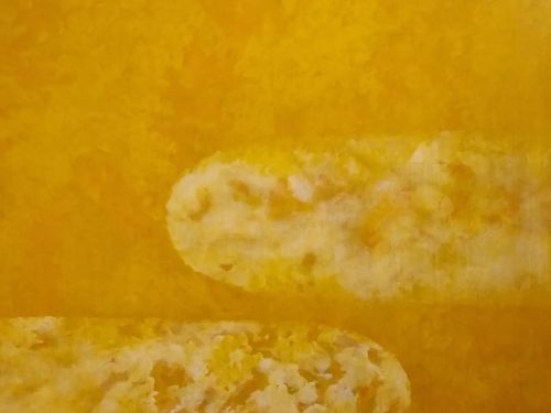 Foto de uma das obras da exposição 