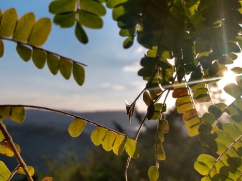 natureza 