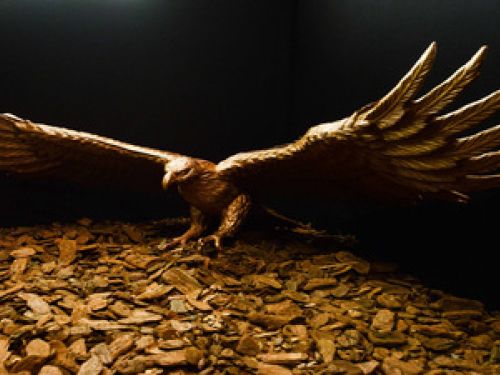 Coliseu: Exposição Imersiva