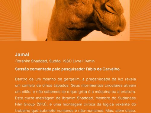 Foto descritiva sobre do que se trata o filme 