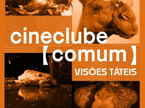 Foto de capa para divulgação do evento CineClube Comum no Palácio das Artes 