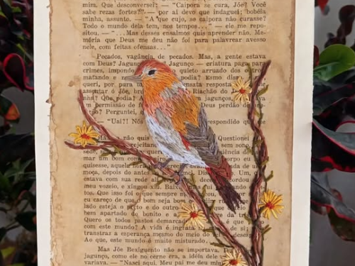 Imagem bordado sobre pagina de livro