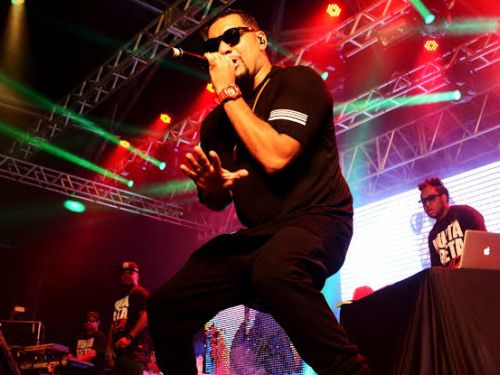 fotos do show cantor performando 