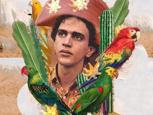 Exposição "Todos os Caetanos" - Grande Hotel Ronaldo Fraga