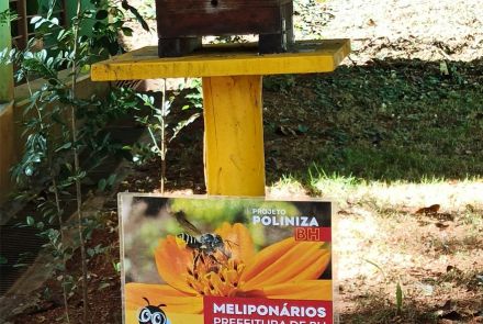 Meliponário do Zoológico de Belo Horizonte