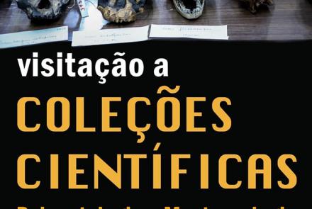 Visitas a Coleções Científicas - Paleontologia e Mastozoologia - PUC Minas