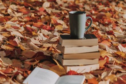 Contar Histórias - Espaço do Conhecimento UFMG