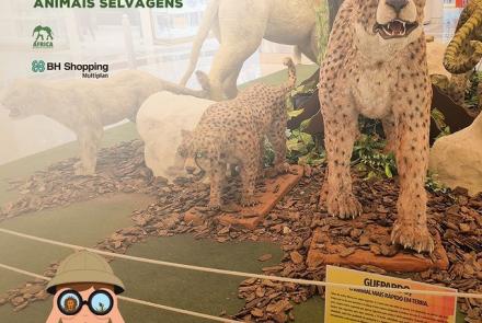  Exposição: “África: animais selvagens” - BH Shopping