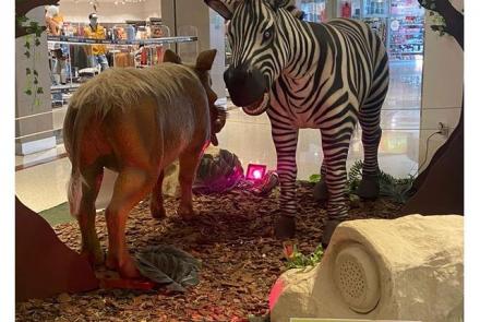  “Selva Africana: mundo animal” - Minas Shopping