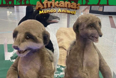 Exposição Selva Africana - Minas Shopping