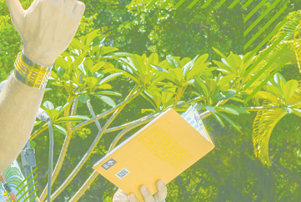 mãos de uma pessoa segurando um livro e o lendo 