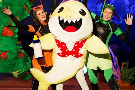 Divulgação As aventuras do Bebê Tubarão 