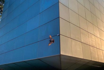 Concerto para bebês: "Dó-Mi-Bebê" | Espaço do Conhecimento UFMG