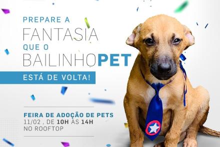 Bailinho de Carnaval Pet