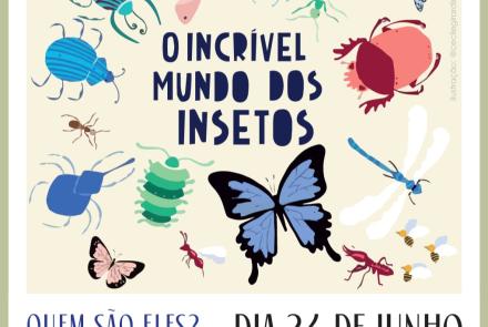 O incrível mundo dos insetos