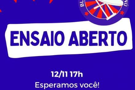insbloco