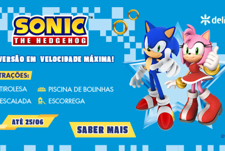 Sonic Adventure Park