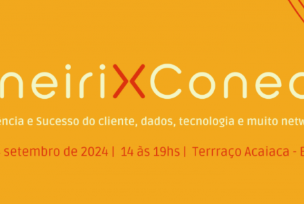 MineiriX Conecta