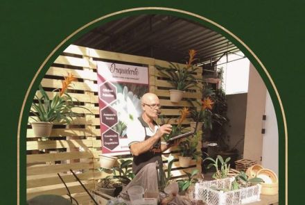 Curso - Cultivo de Orquídeas