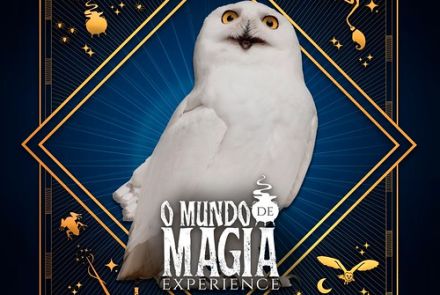 O Mundo de Magia Experience