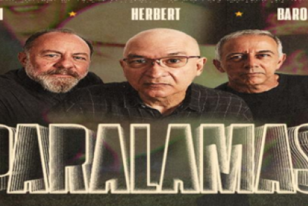 Show: Os Paralamas do Sucesso