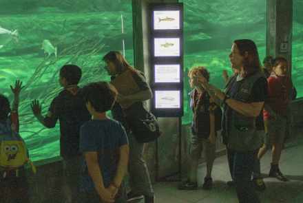 Espetáculo Infantil: “Os Habitantes do Fundo do Rio”