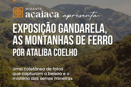 Cartaz divulgação