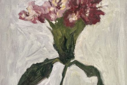 Exposição individual: ‘Exercícios de admiração’