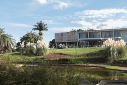 Jardim do Museu de Arte da Pampulha