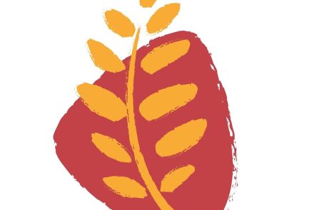 Programação de Férias - Museu de História Natural e Jardim Botânico