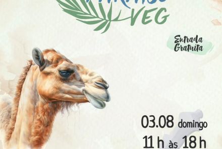 Reprodução instagram