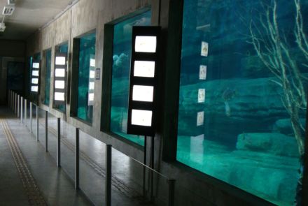 Aquário do Rio São Francisco