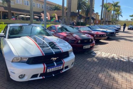 Exposição: "Mustangs no Parque do Palácio"