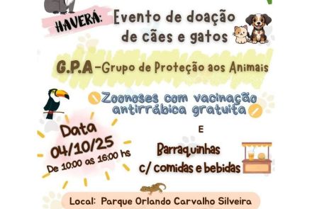 ParCão Fest