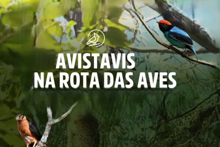 7º AVISTAVIS BH 2025 - Parque Municipal Américo Renné Giannetti 