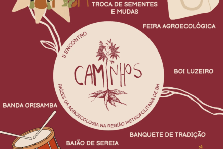 Cartaz divulgação