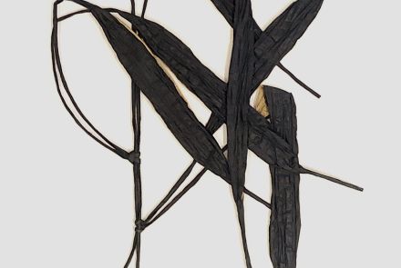 Herbário de Alexandre Brandão