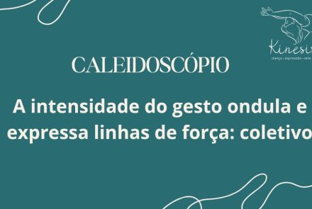 divulgação