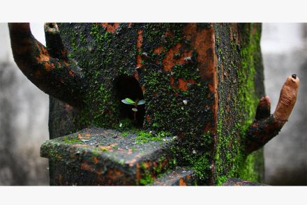 Exposição: "(Re)Habitar"