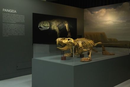 Visita mediada à exposição “demasiado humano” 