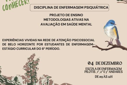 fly com informações