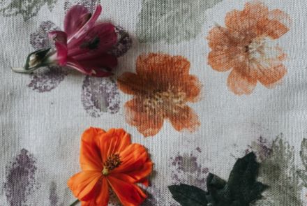 fly com informações do evento