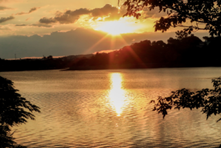 Oficina sensorial: Texturas do jardim