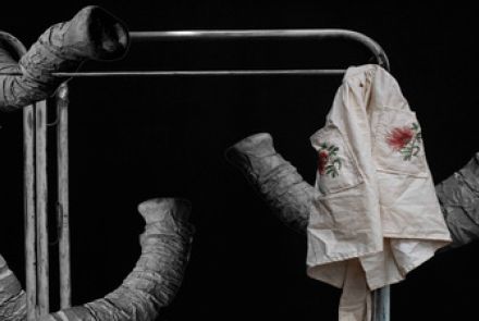 Imagem de uma tromba de elefante em tela preta 