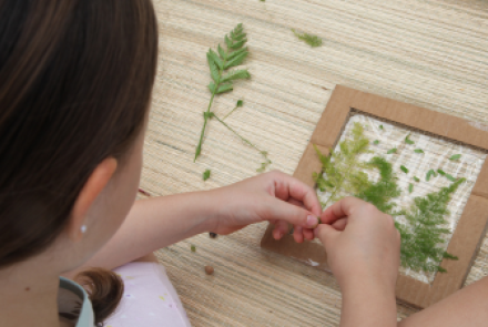 bribcadeiras no jardim