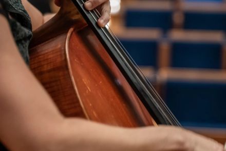 Foto de instrumento da orquestra